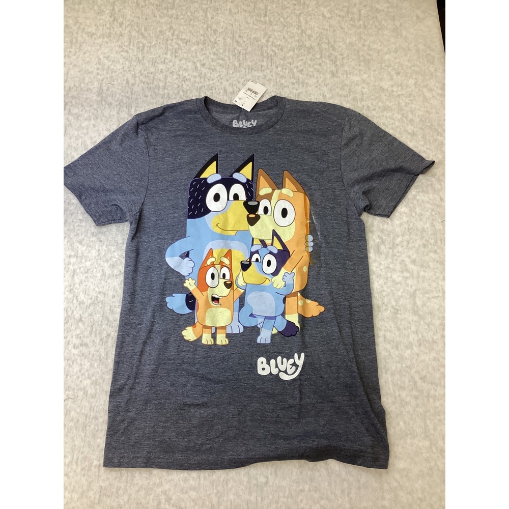 Bluey Family Portrait Graphic T-Shirt Heather Charcoal Grey Small BBLU021MSC